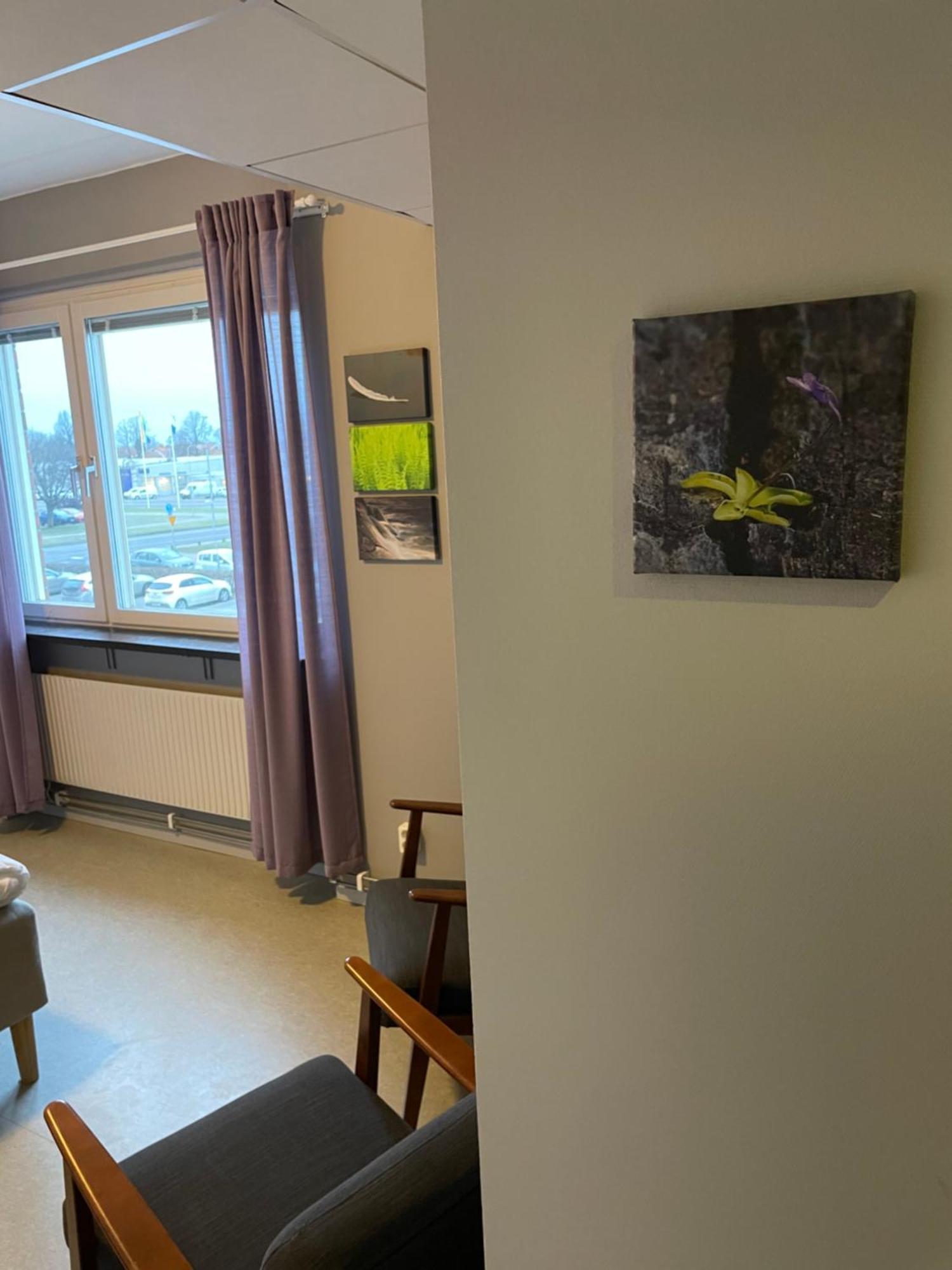 Broholm Bed&Breakfast Lidkoping Phòng bức ảnh